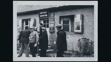Zasłona do filmu "Les survivants, l