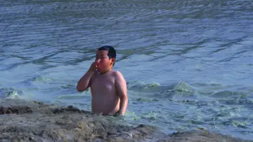 Zasłona do filmu "大湾区之肋" #776383