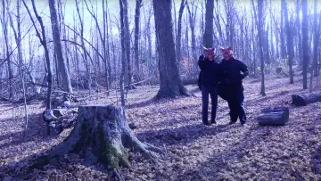 Zasłona do filmu "GREED" #538433