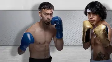 Zasłona do filmu "Zuffa Boxing 02" #1509858