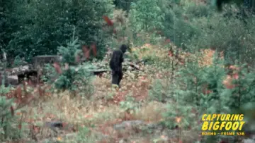 Zasłona do filmu "Capturing Bigfoot" #1911828