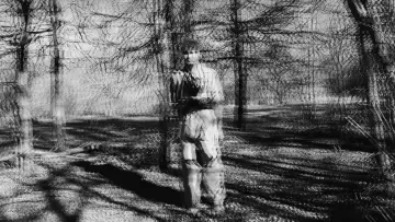 Zasłona do filmu "The Trail" #1139575