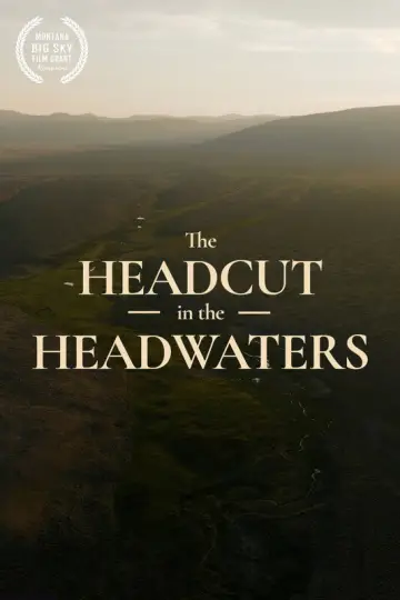 Plakat do filmu "Restoring the Headwaters" #801683