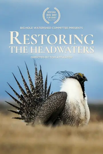 Plakat do filmu "Restoring the Headwaters" #801684