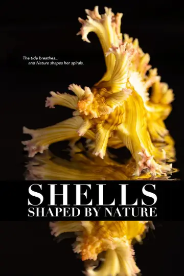 Plakat do filmu "Shells: Shaped by Nature" #911852