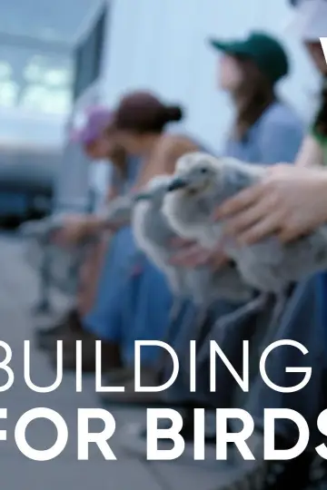 Plakat do filmu "Wild Hope: Building for Birds" #803349
