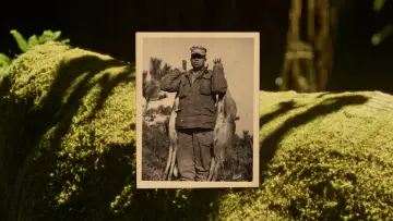 Zasłona do filmu "Buckskin" #777440