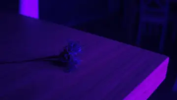 Zasłona do filmu "Centaurea" #874735
