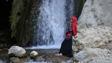 Zasłona do filmu "خواب بلوط‌های وحشی" #1572616