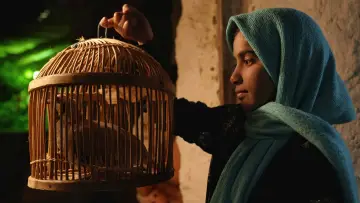 Zasłona do filmu "خواب بلوط‌های وحشی" #1572617