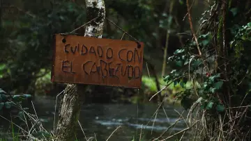 Zasłona do filmu "El Cabezudo" #964777