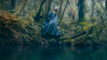 Zasłona do filmu "La forêt d