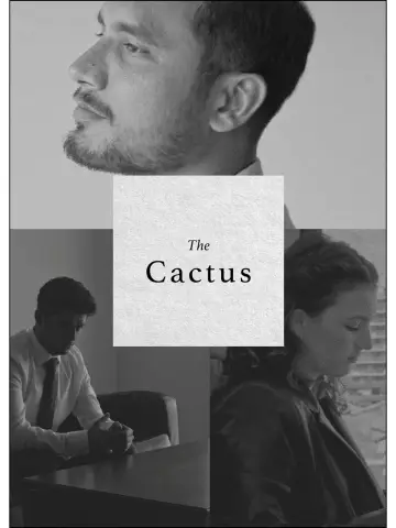 Plakat do filmu "The Cactus" #1649095