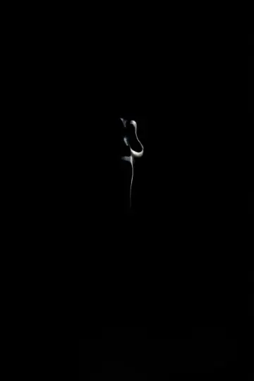 Plakat do filmu "Scream: Short Film" #1822551