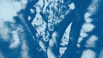 Zasłona do filmu "Farewell, My Tree" #782128