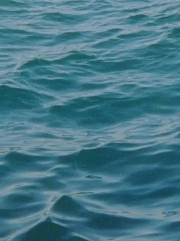 Plakat do filmu "Water Diary" #777856