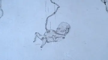 La Chair de ma Chair