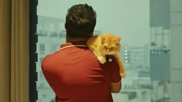 Zasłona do filmu "Love Sitter" #773115
