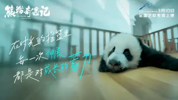 熊猫奇遇记