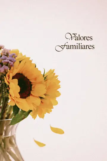 Valores Familiares