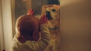 Zasłona do filmu "Good Dog" #776209