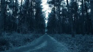 Zasłona do filmu "Void Madness" #777981