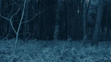 Zasłona do filmu "Void Madness" #777986