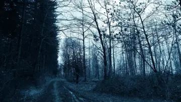 Zasłona do filmu "Void Madness" #777989