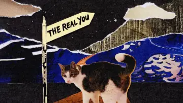 Zasłona do filmu "The Real You" #781652