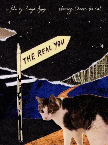 Plakat do filmu "The Real You" #781654
