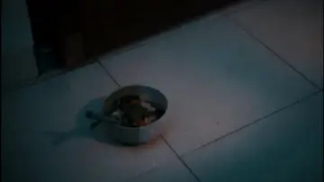 Zasłona do filmu "Sup Ayam" #1522960
