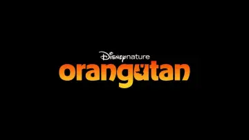 Zasłona do filmu "Orangutan" #798700