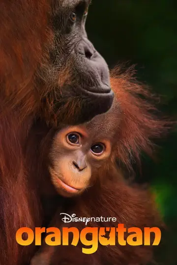 Plakat do filmu "Orangutan" #798701