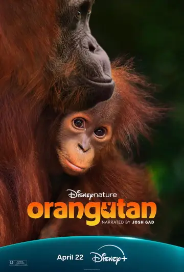 Plakat do filmu "Orangutan" #798702