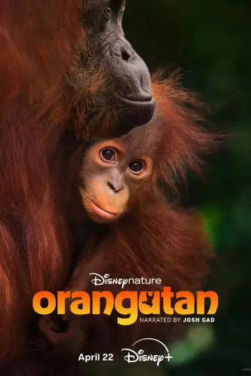 Plakat do filmu "Orangutan" #798703