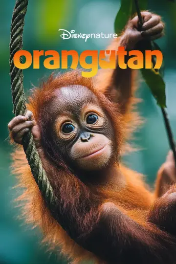 Plakat do filmu "Orangutan" #817531