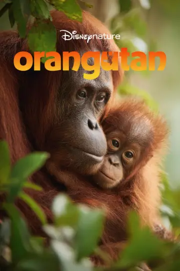 Plakat do filmu "Orangutan" #817532