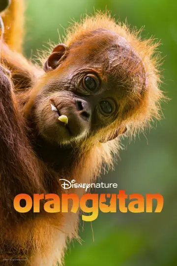 Plakat do filmu "Orangutan" #817533