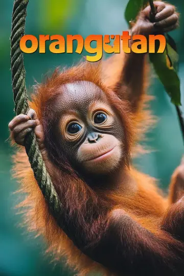 Plakat do filmu "Orangutan" #817534