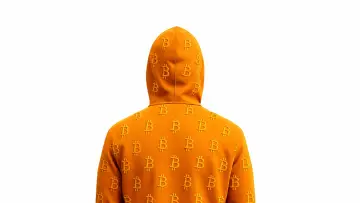 Zasłona do filmu "Finding Satoshi" #818644