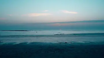 Zasłona do filmu "Ce qui suffit" #781944