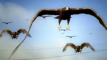Zasłona do filmu "Birdemic : Macron Terror" #773023