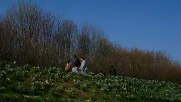 Zasłona do filmu "Le cratère des Hautes-Bruyères" #794808