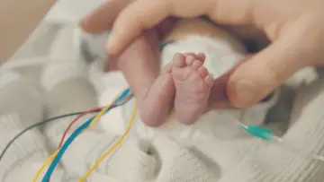 Zasłona do filmu "L’Hôpital des Premiers Jours" #775824