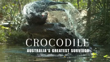Zasłona do filmu "Crocodile: Australia