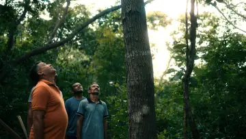 Zasłona do filmu "O Cio da Terra" #774994