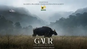 Zasłona do filmu "Gaur: The Hills Beckon" #781567