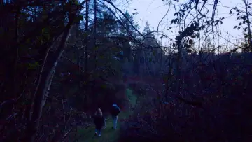 Zasłona do filmu "What