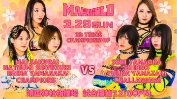 Zasłona do filmu "〜高須クリニックpresents〜靖国神社奉納プロレス「マリーゴールド大和神州女祭り」" #775580