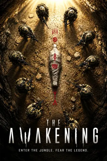 Plakat do filmu "El despertar" #1652060